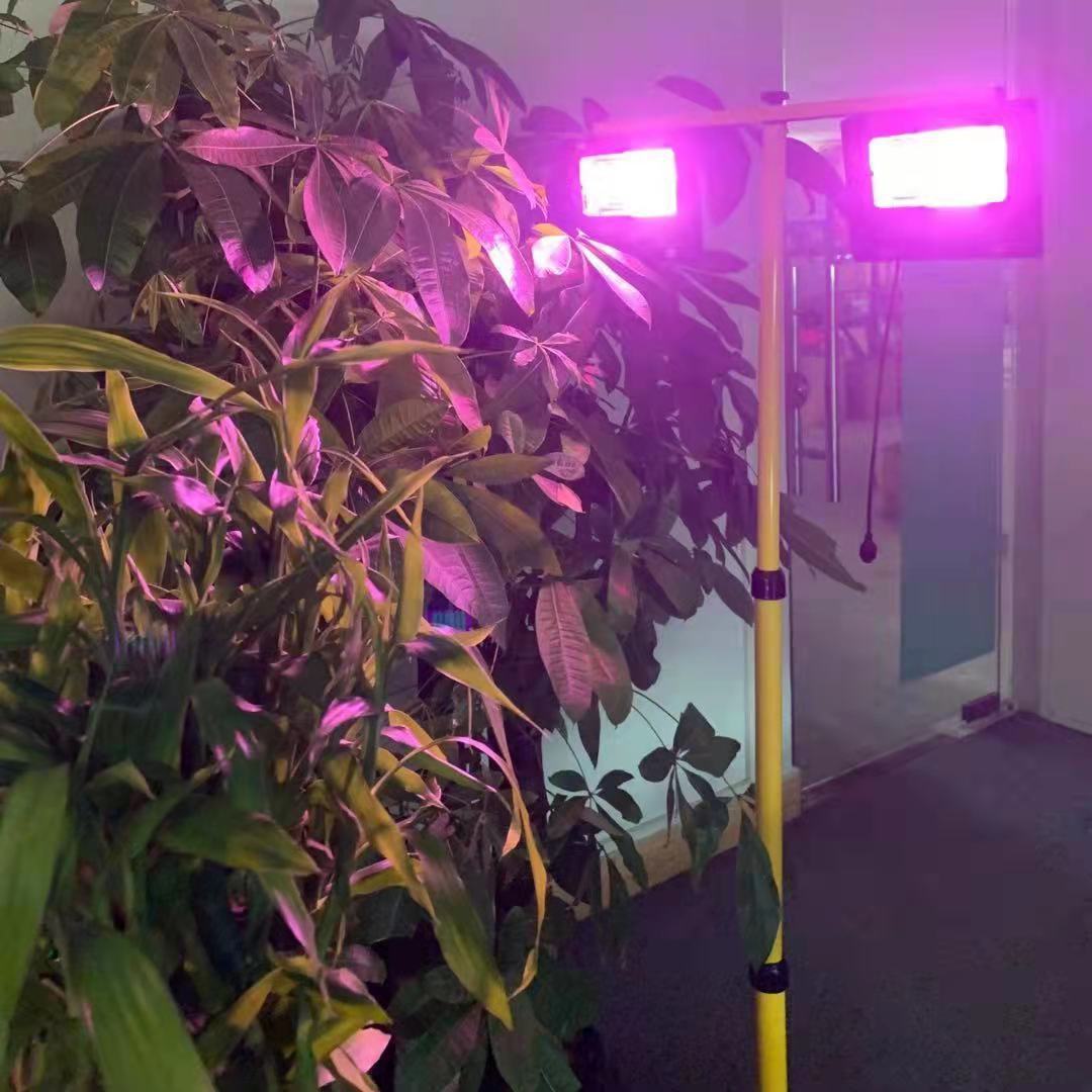 Solar Led Grow Light Full Spec - Outdoor Power And Plant recensie en prijs