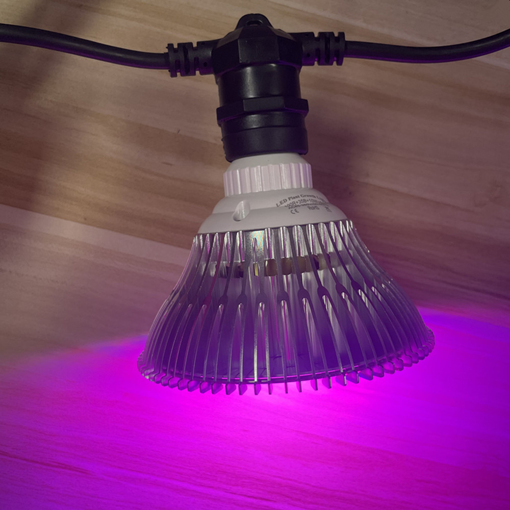 10M kabel LED-slinger van comm - Outdoor Power Adapter recensie en prijs