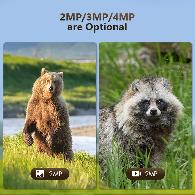 4G 4mp Outdoor Wildlife Jacht  - Panel Power Outdoor recensie en prijs