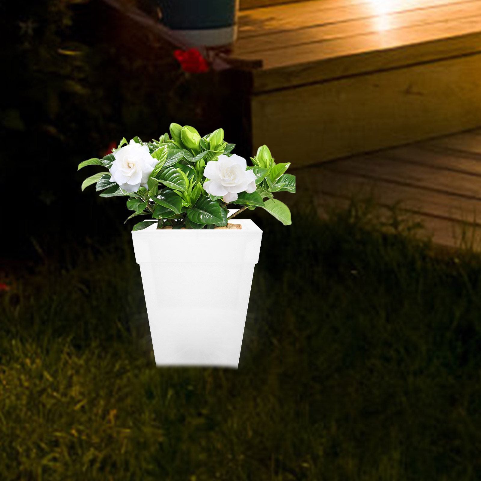 Gloeiende vierkante bloempot,  - Outdoor Power And Plant recensie en prijs